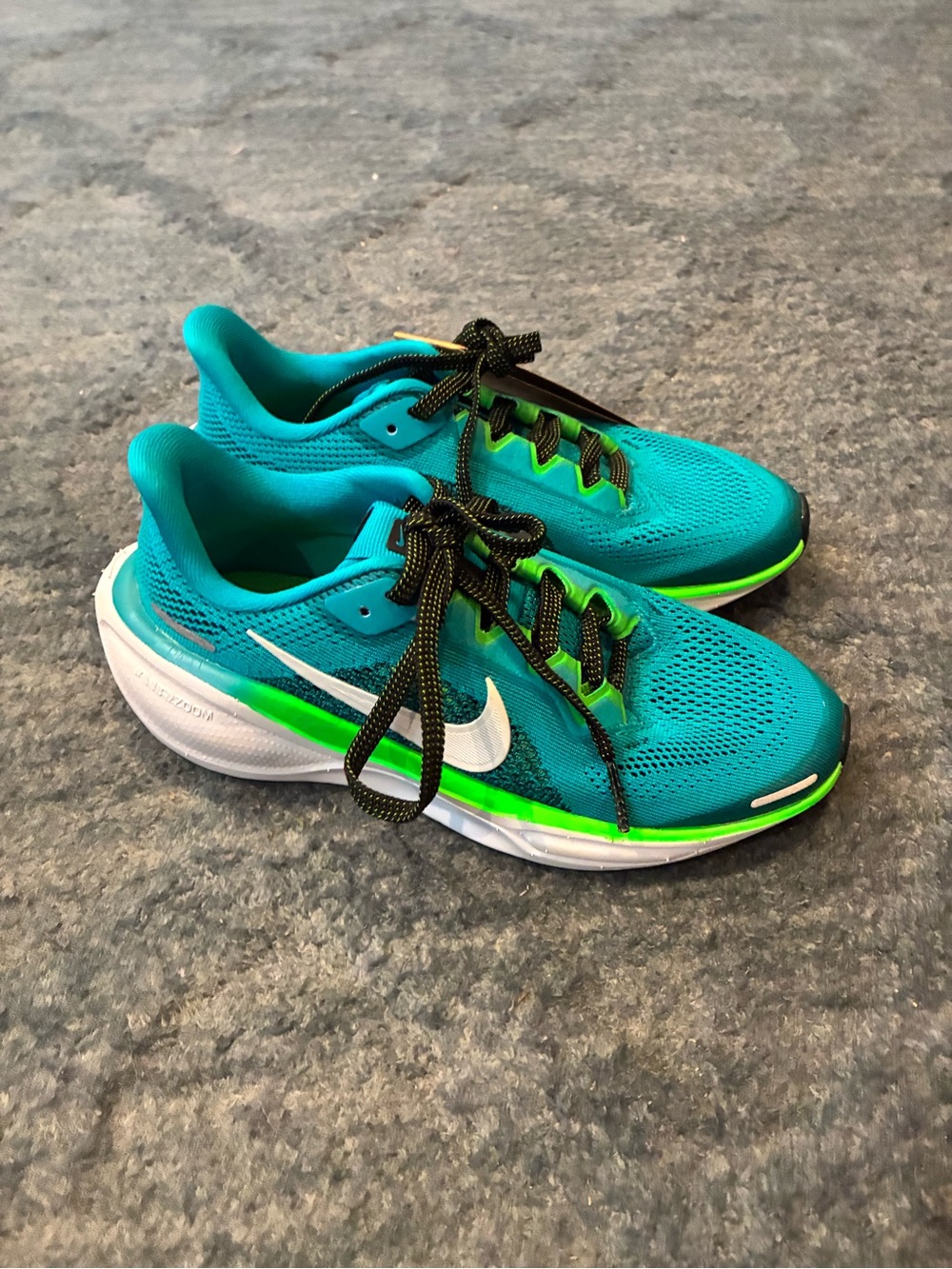 Nike Pegasus Kids Size 1.5
